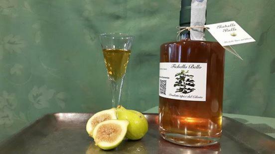 Affittacamere Sandomenico 마리나디카메로타 외부 사진